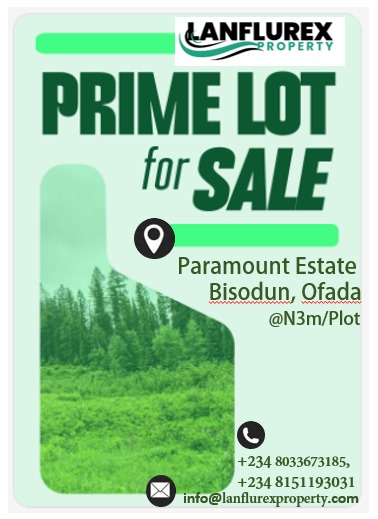 WhatsApp Image 2025-06-12 at 08.18.15