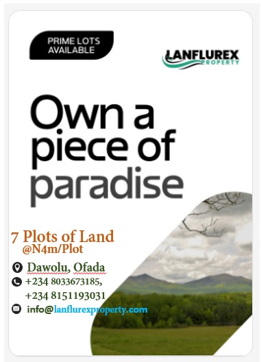 WhatsApp Image 2025-06-12 at 08.18.58